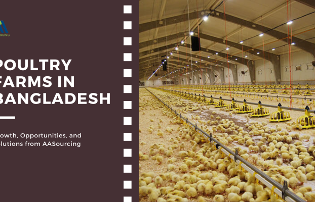Poultry Farms in Bangladesh